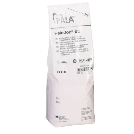 Paladon 65 Resina 1Kg.
