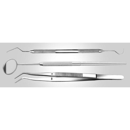 Estuche para el Primer Examen Dental 