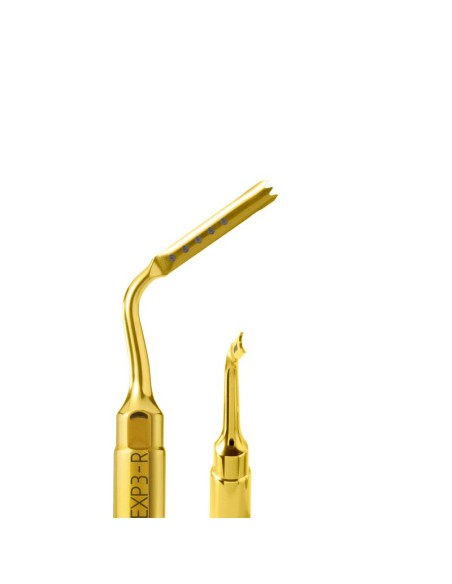 Inserto EXP3-R Explantación para PiezoSurgery 1 unidad