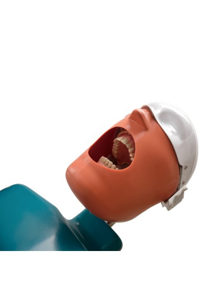 Modelo Estudio JG-C3 con Barra a Cabezal de Equipo