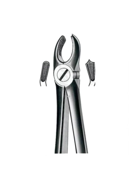Forceps Superior Molares Derechos de Carl Martin