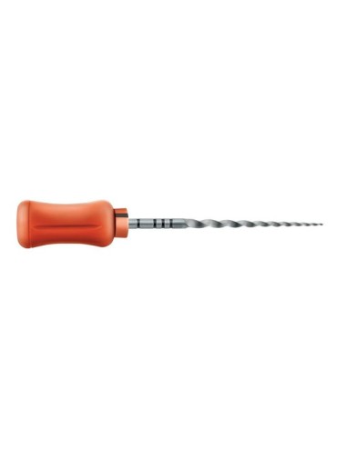 Limas Protaper Manual F2 