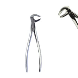 Fórceps para Caninos y Premolares Inferiores 2