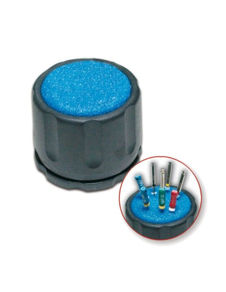 Interim Stand Esponjero Endodoncia