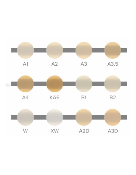 Clearfil Majesty ES Flow Low Composite Fluido Jeringa 2,7g.