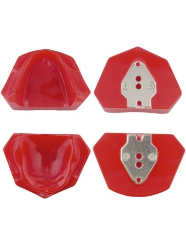 Modelo Desdentado con Pletina