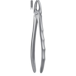 Forceps Superior Dientes anteriores Liquid Steel LS1