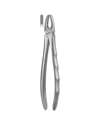 Forceps Superior Dientes anteriores Liquid Steel LS1