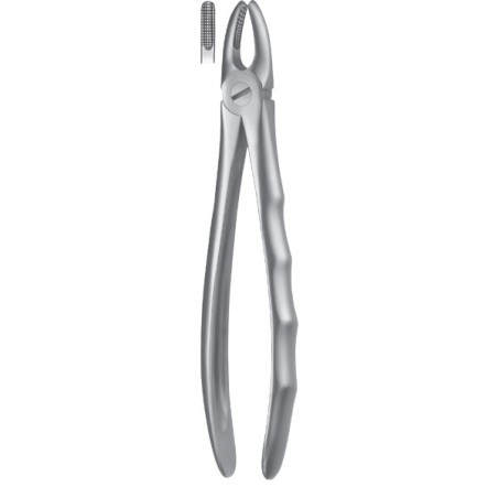Forceps Superior Dientes anteriores Liquid Steel LS1