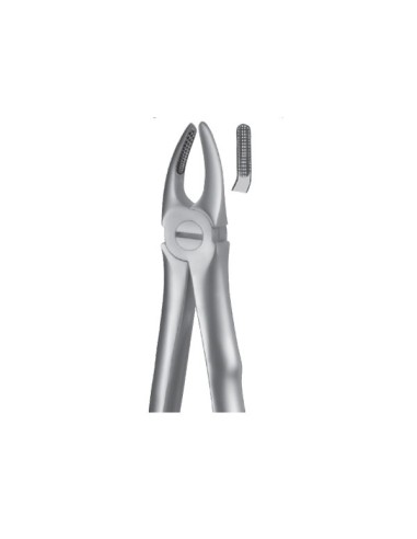 Forceps Superior Premolares Liquid Steel LS7