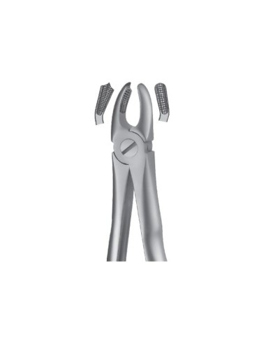 Forceps superior Molares Izquierdos Liquid Steel LS18