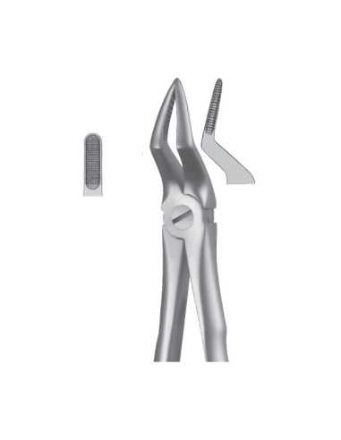 Forceps Superior de Raíces Estrecho Liquid Steel LS51A