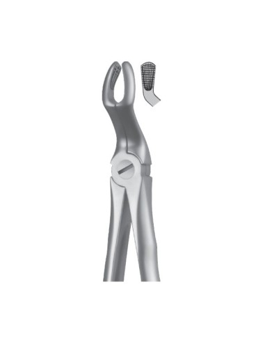 Forceps Superior Cordales Liquid Steel LS67A