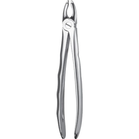 Forceps Superior Incisivos/Caninos Liquid Steel LS115