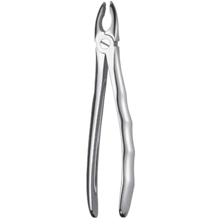 Forceps Superior Incisivos/Caninos Punta Especial Liquid Steel LS116