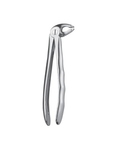 Forceps Inferior Incisivos/Caninos Punta Especial Liquid Steel LS118