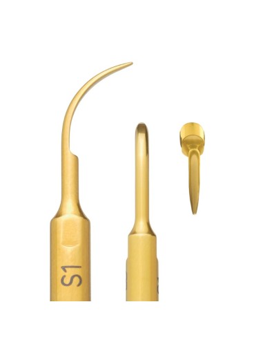 Inserto para Detartraje Ultrasonidos 1 unidad