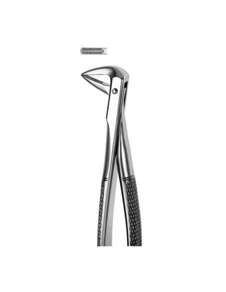 Fórceps de Extracción Raíces Inferiores