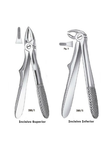 Fórceps Klein Niño para Incisivos Superiores o Inferiores