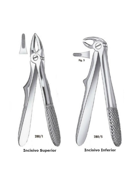 Fórceps Klein Niño para Incisivos Superiores o Inferiores