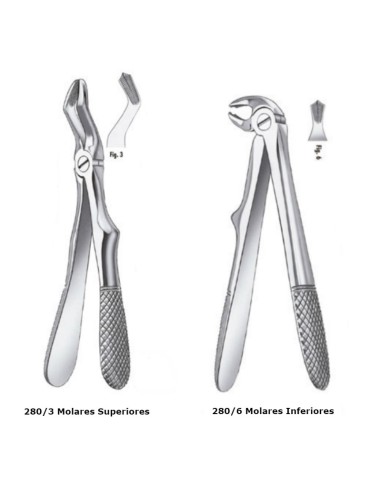 Fórceps Klein Niño Molar Superior o Inferior