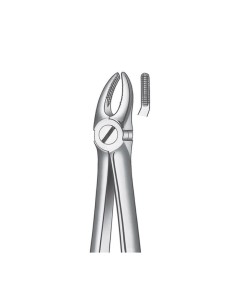 Fórceps n. 7 Premolares Maxilar Superior
