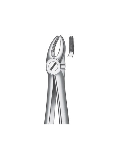 Fórceps n. 7 Premolares Maxilar Superior