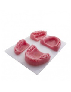 Modelo para Práctica de Sutura Siliconado 4 piezas