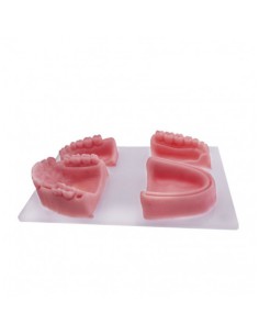 Modelo para Práctica de Sutura Siliconado 4 piezas 2