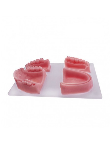 Modelo para Práctica de Sutura Siliconado 4 piezas