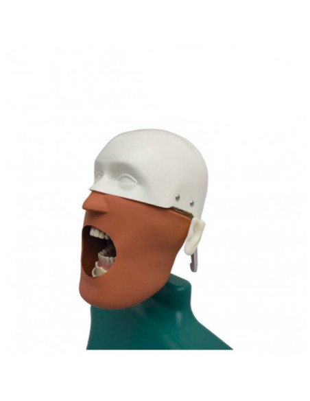 Fantoma Dental Maniquí Completo con Tipodonto Clónico ANA4