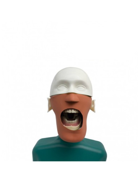 Fantoma Dental Maniquí Completo con Tipodonto Clónico ANA4