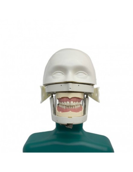 Fantoma Dental Maniquí Completo con Tipodonto Clónico ANA4
