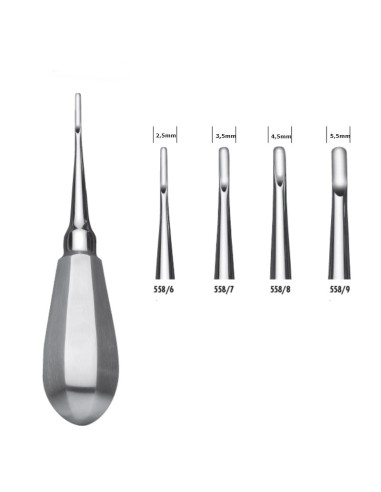 Botador Recto Ancho Redondeado