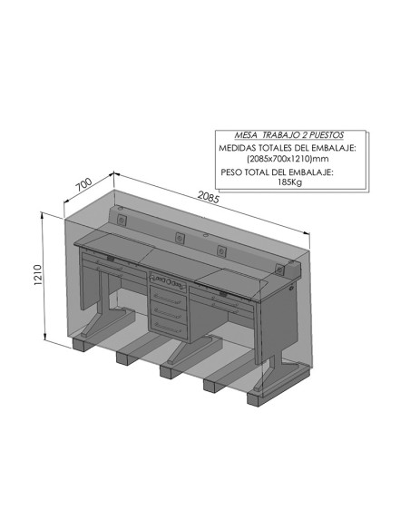 Mesa de Trabajo Metálica 2 Puestos con Aspiradores y Lámparas