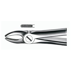 Forceps E1 para Incisivos Superiores 