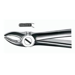 Forceps E7 para Premolares Superiores