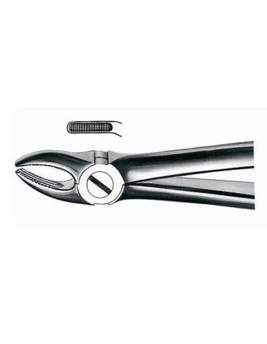 Forceps E7 para Premolares Superiores