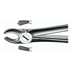 Forceps E17 para Molares de la Derecha 