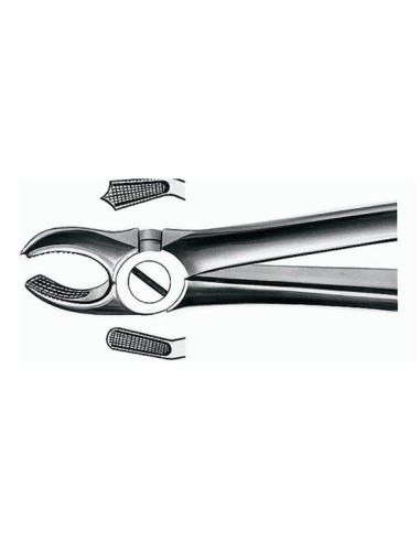 Forceps E17 para Molares de la Derecha 