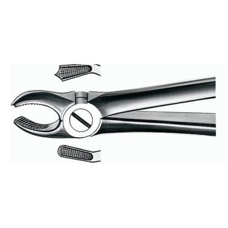 Forceps E17 para Molares de la Derecha 