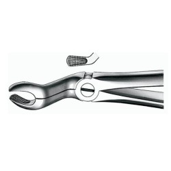 Forceps E67A para Cordales Superiores