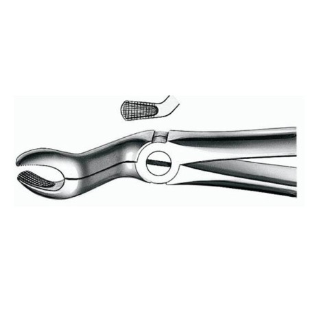 Forceps E67A para Cordales Superiores