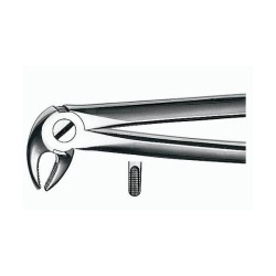 Forceps E13 para Incisivos y Premolares Inferiores 