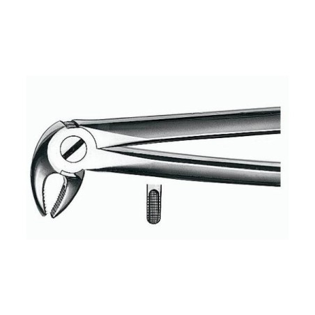 Forceps E13 para Incisivos y Premolares Inferiores 