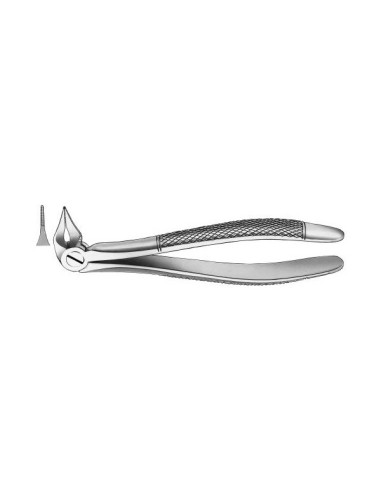 Forceps para Fragmentos y  Raíces 