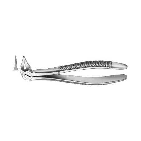 Forceps para Fragmentos y  Raíces 
