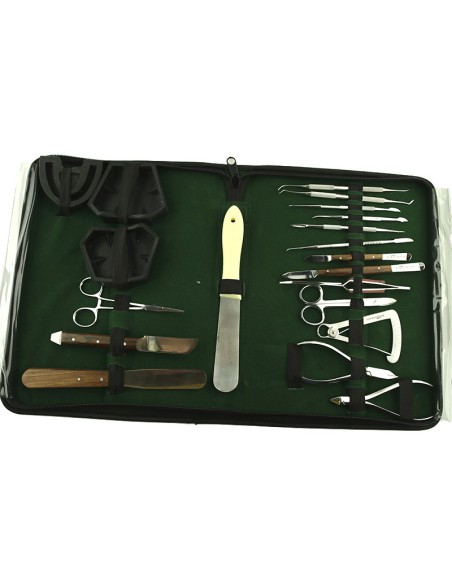 Set Instrumental para Estudiantes Laboratorio 20 piezas