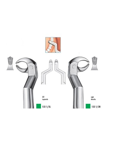 Fórceps de Extracción de Raíces Posterior Set 122 1/2R+L
