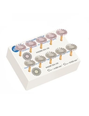 Ruedas de Pulido Set Intro Fresero 10 unidades